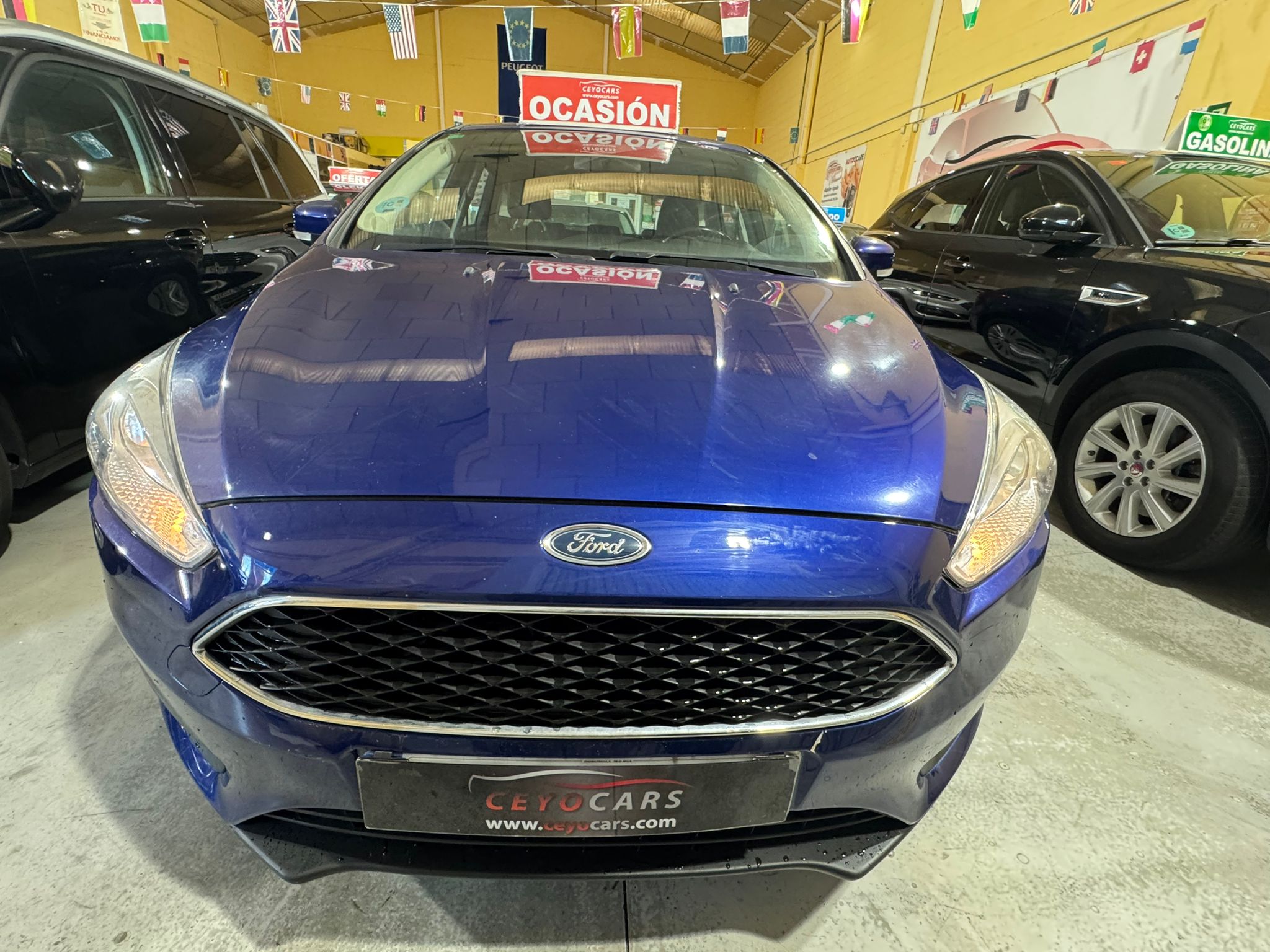 Ford Focus 1.5TDCI TREND+ 120 CV