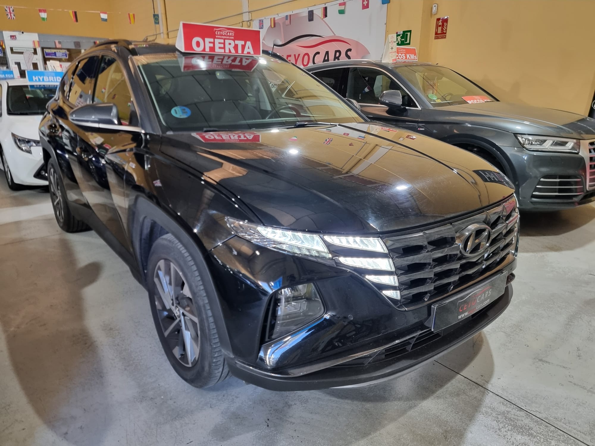 Hyundai TUCSON 1.6 CRDI 48V TECNO 2C 4X2 DT