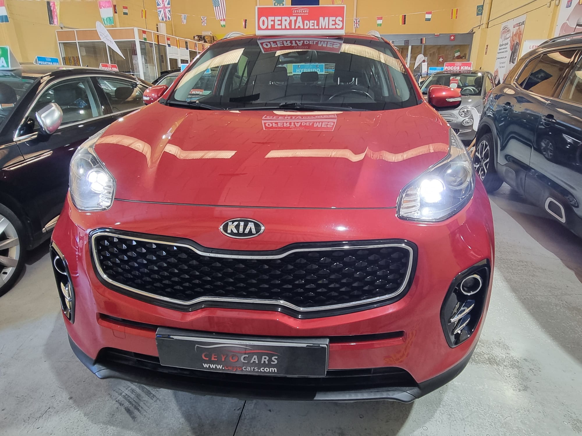 Kia Sportage 1.6 GDI X-TECH17 4X2 132 CV