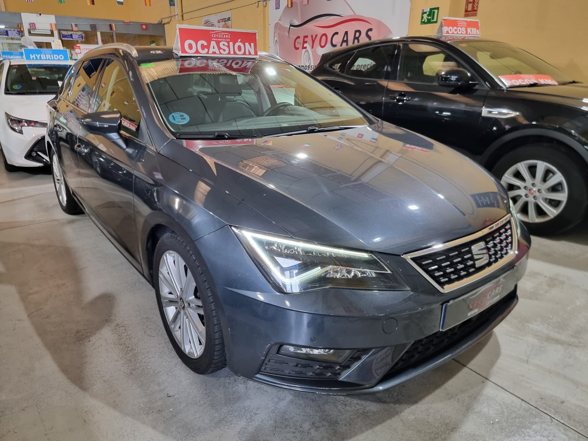 SEAT LEON 1.5 TSI S/S XCELLENCE ED PL ST DCT